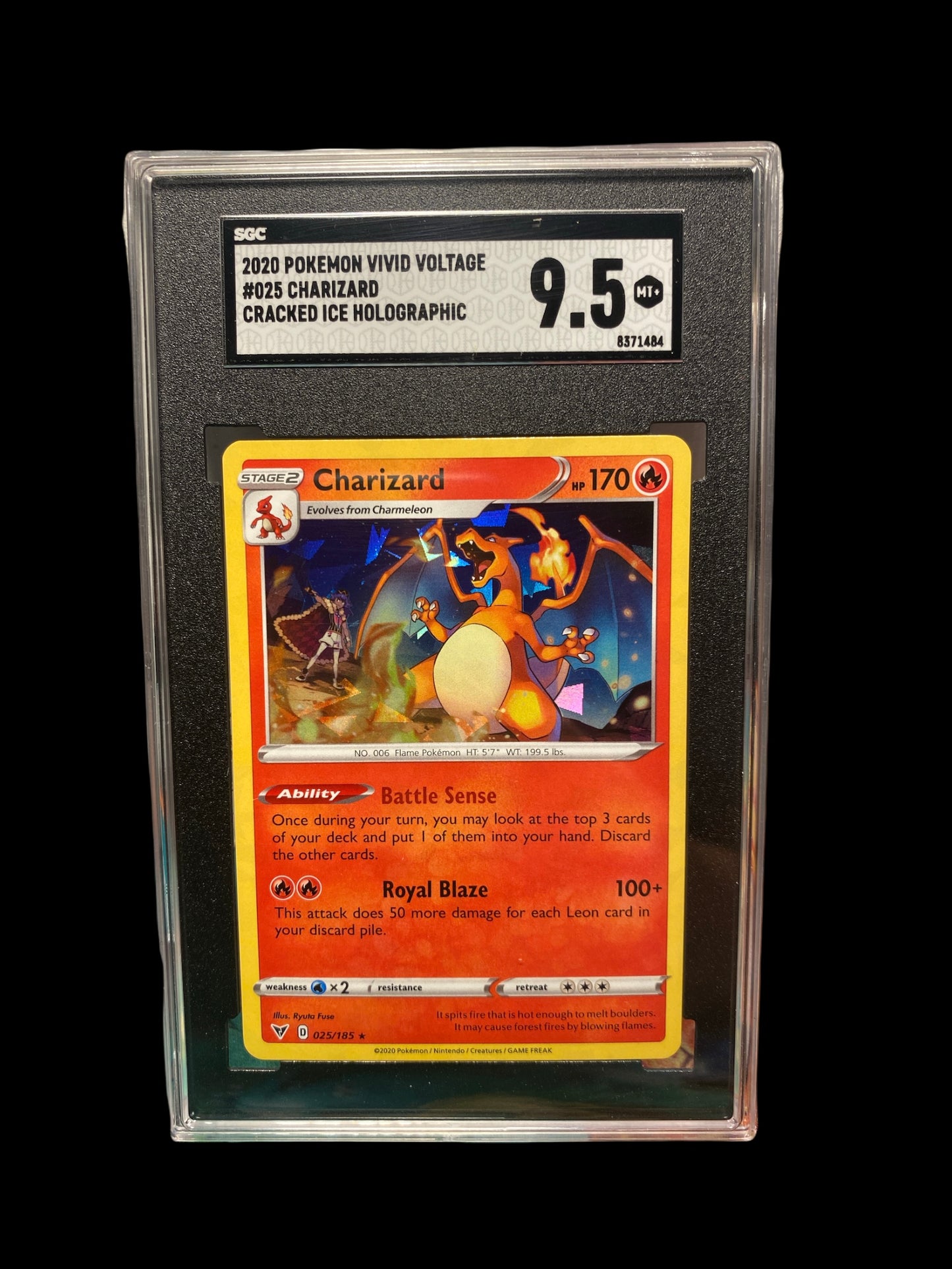 SGC graded 9.5 Charizard - Pokémon